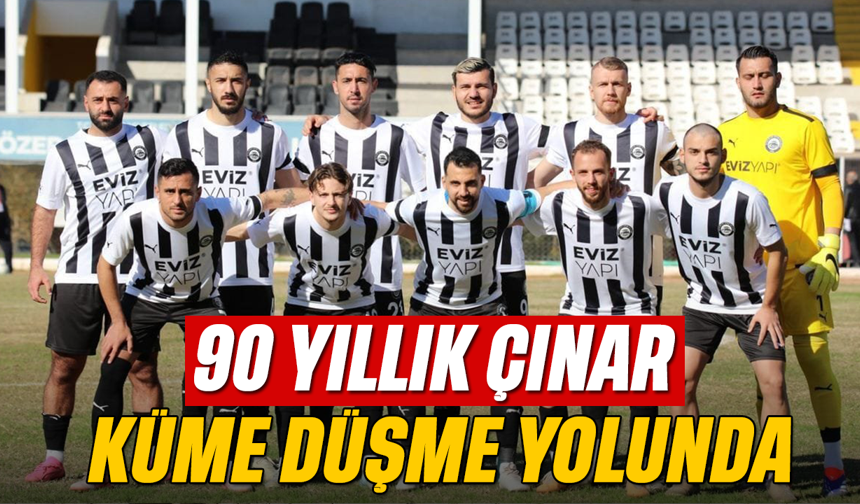 90 yıllık çınar küme düşme yolunda