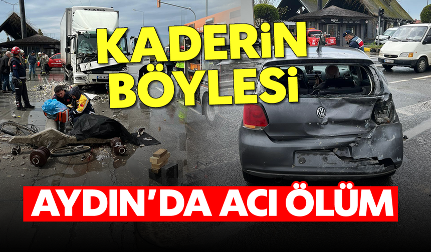 Aydın'da acı ölüm: Devrilen direğin altında kalan bisikletli can verdi