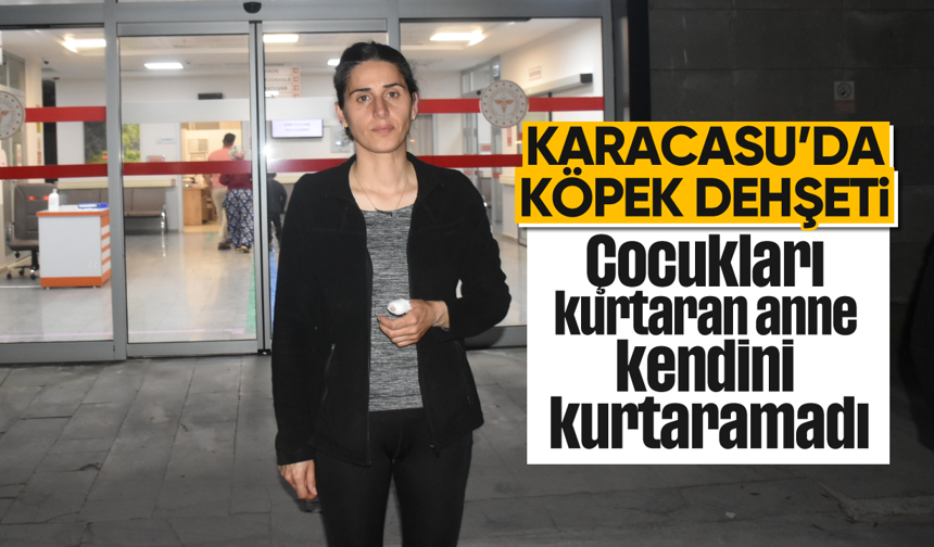 Karacasu'da köpek dehşeti: Çocukları kurtaran anne kendini kurtaramadı