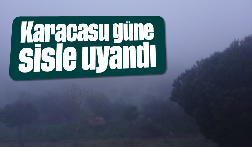 Karacasu güne sisle uyandı