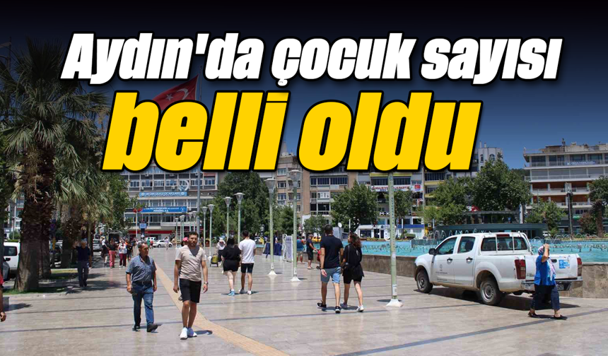 Aydın'da çocuk sayısı belli oldu