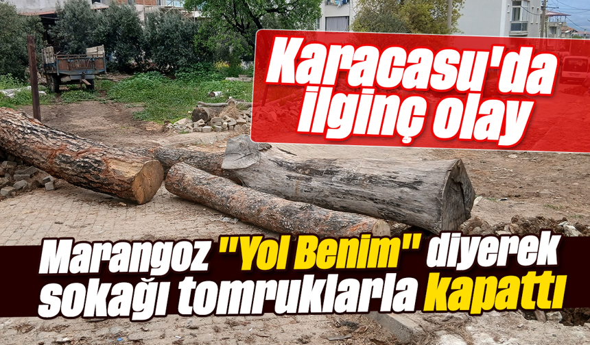 Karacasu'da ilginç olay: Marangoz "Yol Benim" diyerek sokağı tomruklarla kapattı