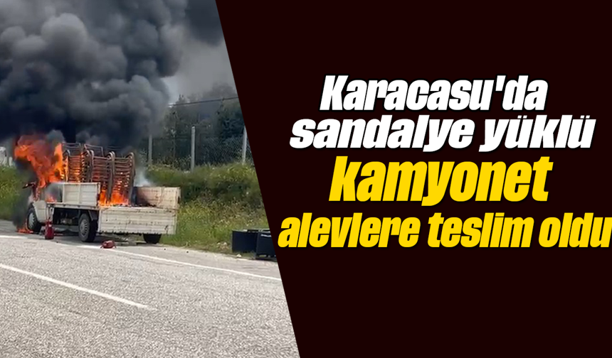 Karacasu'da sandalye yüklü kamyonet alevler teslim oldu