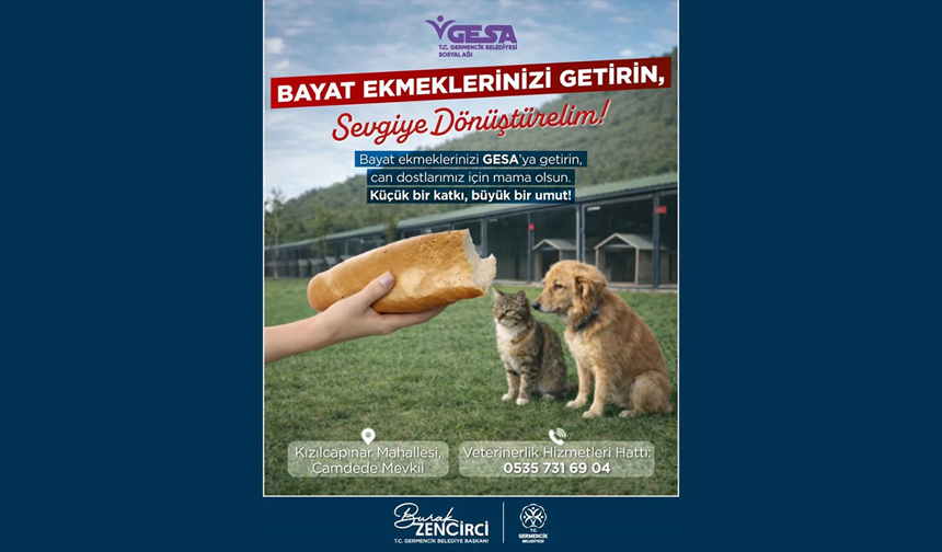 Germencik’te bayat ekmekler can dostlara mama oluyor