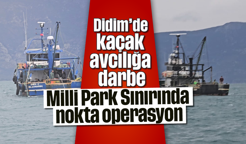 Didim’de kaçak avcılığa darbe: Milli Park Sınırında nokta operasyon