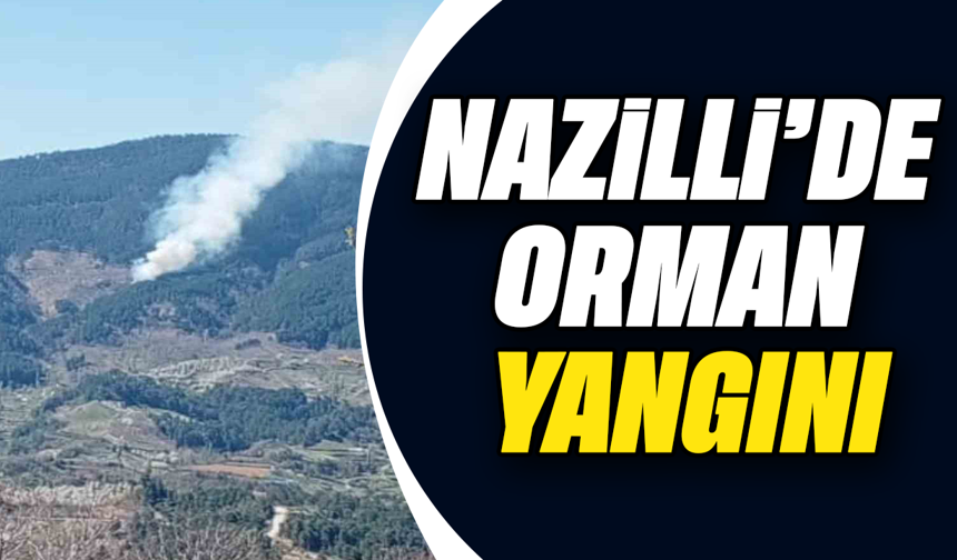 Nazilli’de orman yangını