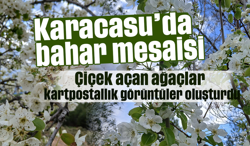 Karacasu’da bahar mesaisi: Çiçek açan ağaçlar kartpostallık görüntüler oluşturdu