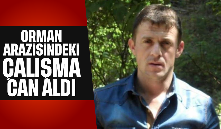 Orman arazisindeki çalışma can aldı