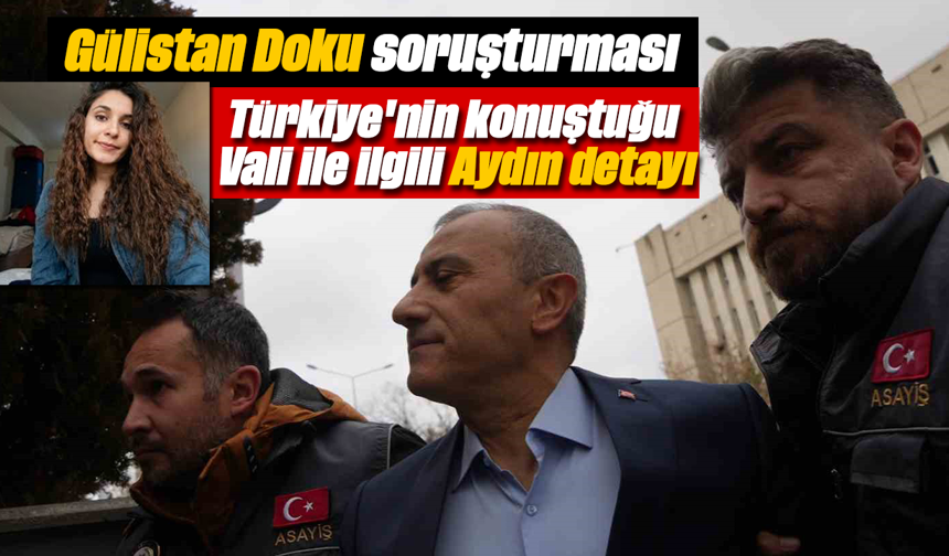 Gülistan Doku soruşturması: Türkiye'nin konuştuğu Vali ile ilgili Aydın detayı