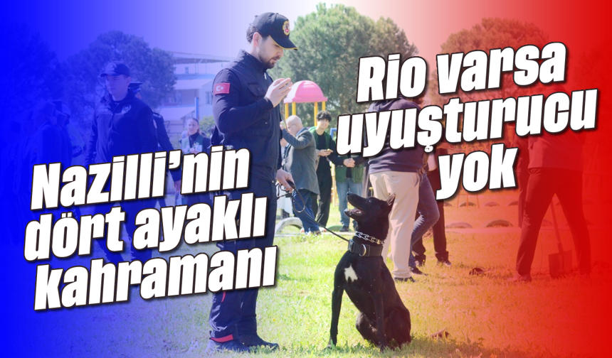 Nazilli’nin dört ayaklı kahramanı: Rio varsa uyuşturucu yok