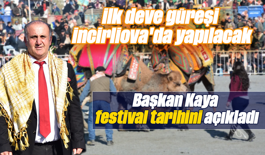 İlk deve güreşi İncirliova'da yapılacak: Başkan Kaya, festival tarihini açıkladı