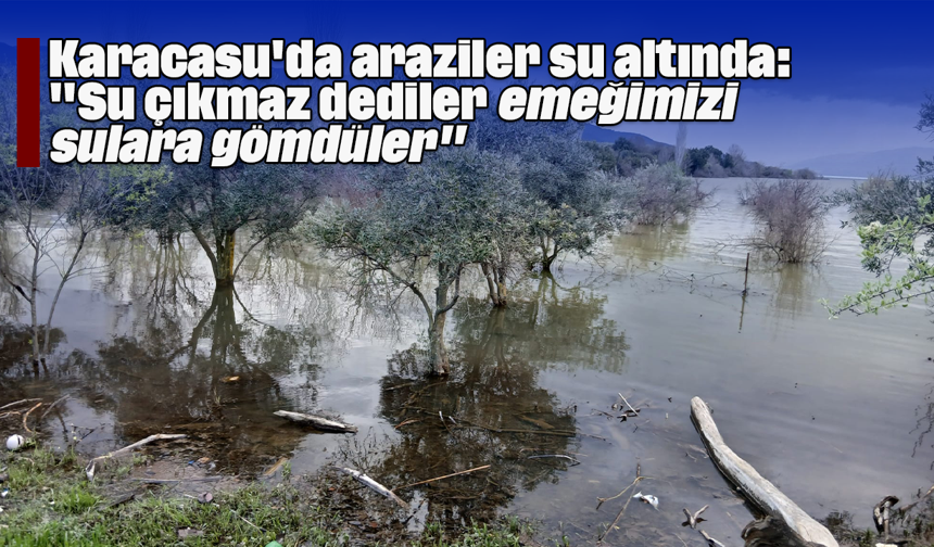 Karacasu'da araziler su altında: "Su çıkmaz dediler, emeğimizi sulara gömdüler"