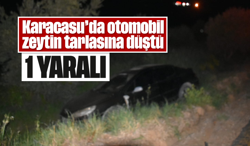 Karacasu'da otomobil zeytin tarlasına düştü: 1 yaralı