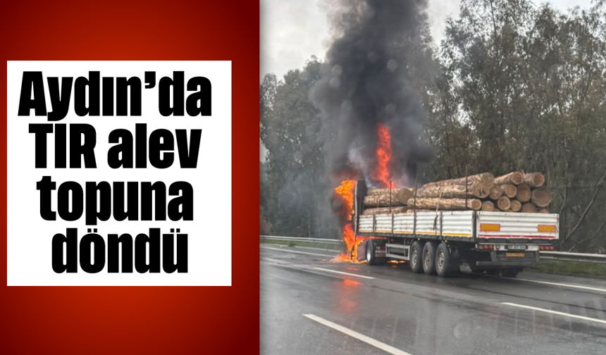 Aydın'da TIR alev topuna döndü
