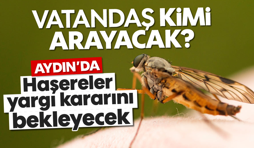 Vatandaş kimi arayacak? Aydın'da haşereler yargı kararını bekleyecek