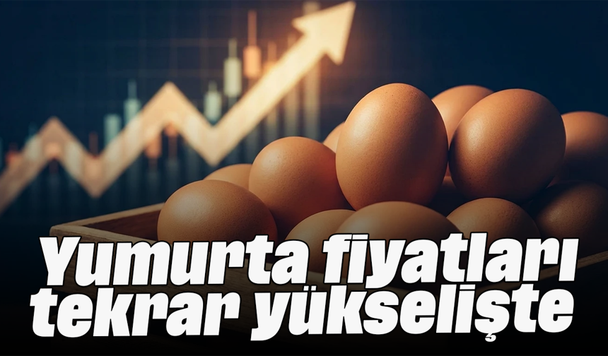 Yumurta fiyatları tekrar yükselişte
