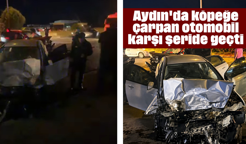Aydın'da köpeğe çarpan otomobil karşı şeride geçti