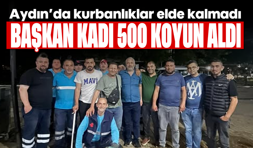 Aydın’da kurbanlıklar elde kalmadı: Başkan Kadı 500 koyun aldı