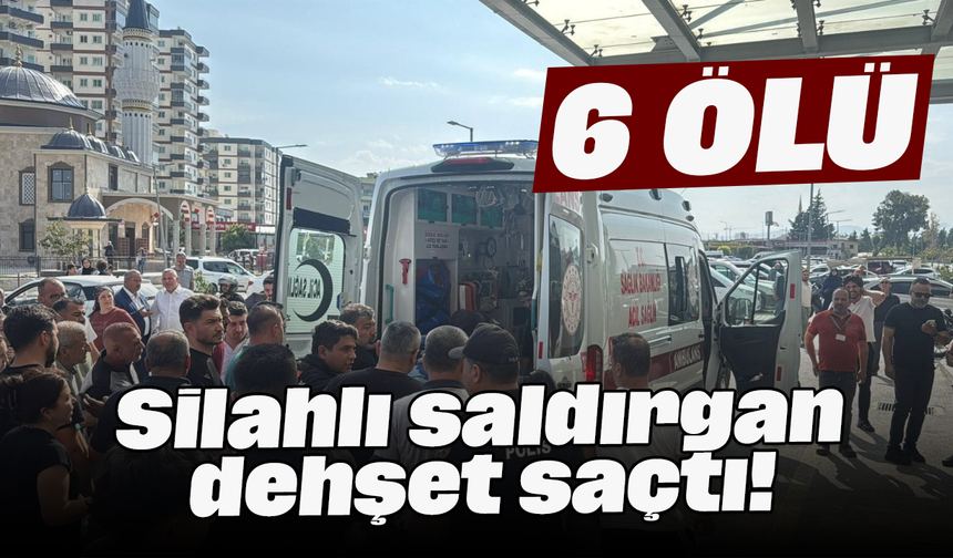 Silahlı saldırgan dehşet saçtı! 6 ölü
