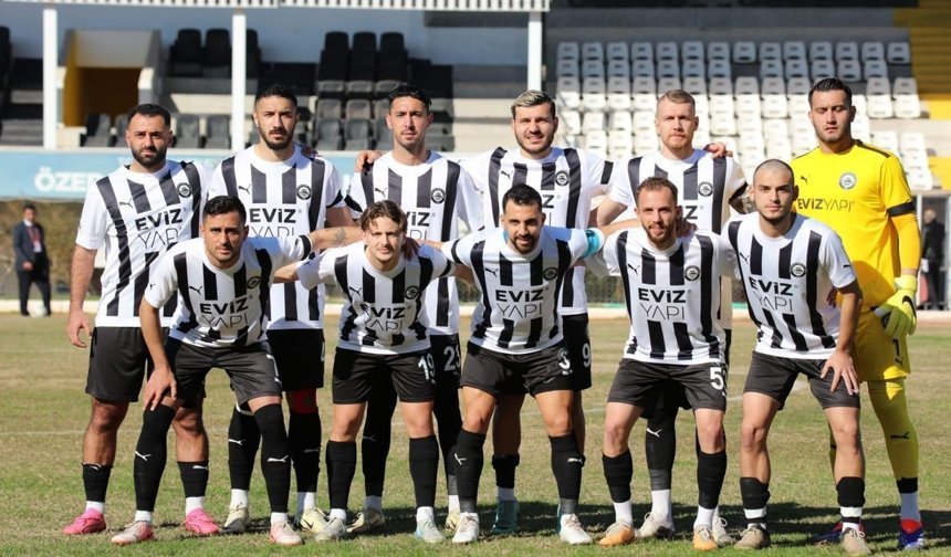 90 yıllık çınar Edremit'te devrildi
