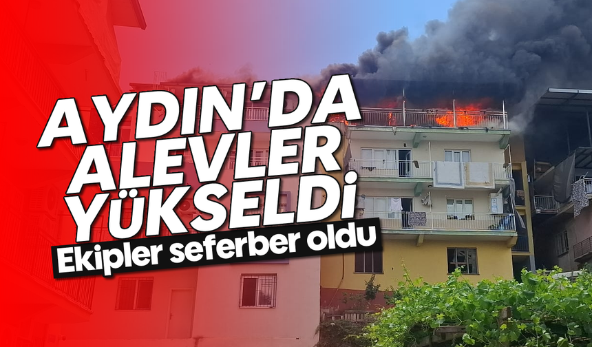Aydın'da alevler yükseldi: Ekipler seferber oldu