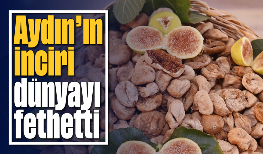 Aydın’ın inciri dünyayı fethetti
