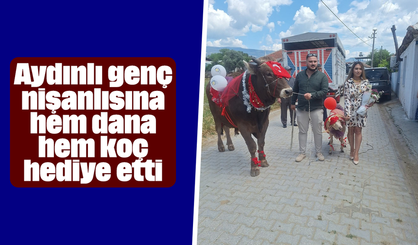 Aydınlı genç, nişanlısına hem dana hem koç hediye etti