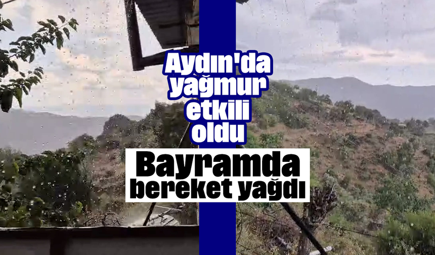 Aydın'da yağmur etkili oldu: Bayramda bereket yağdı