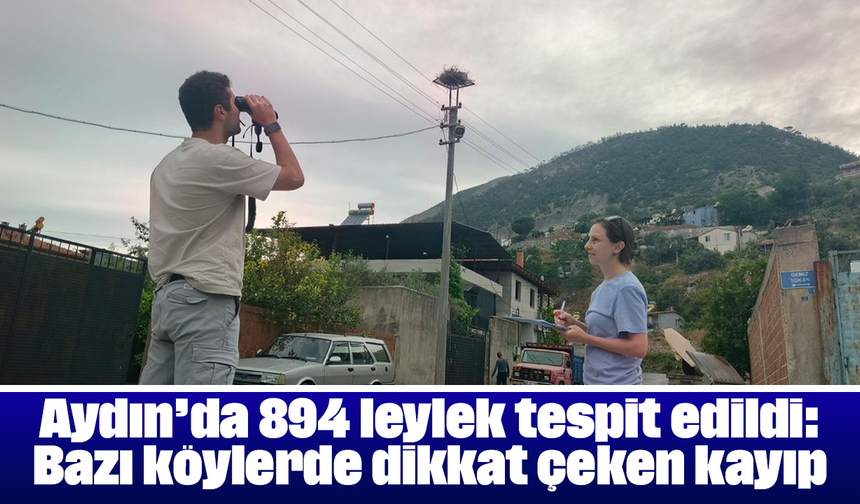 Aydın’da 894 leylek tespit edildi: Bazı köylerde dikkat çeken kayıp