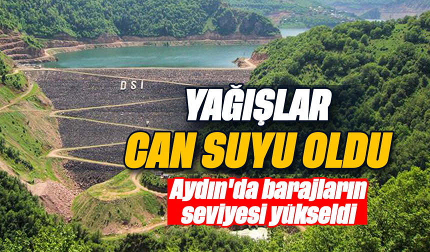 Yağışlar can suyu oldu: Aydın'da barajların seviyesi yükseldi