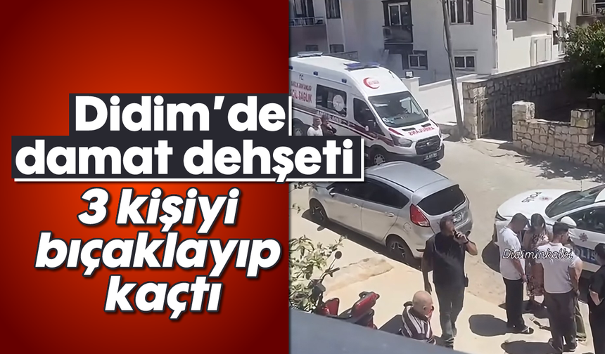 Didim'de damat dehşeti; 3 kişiyi bıçaklayıp kaçtı