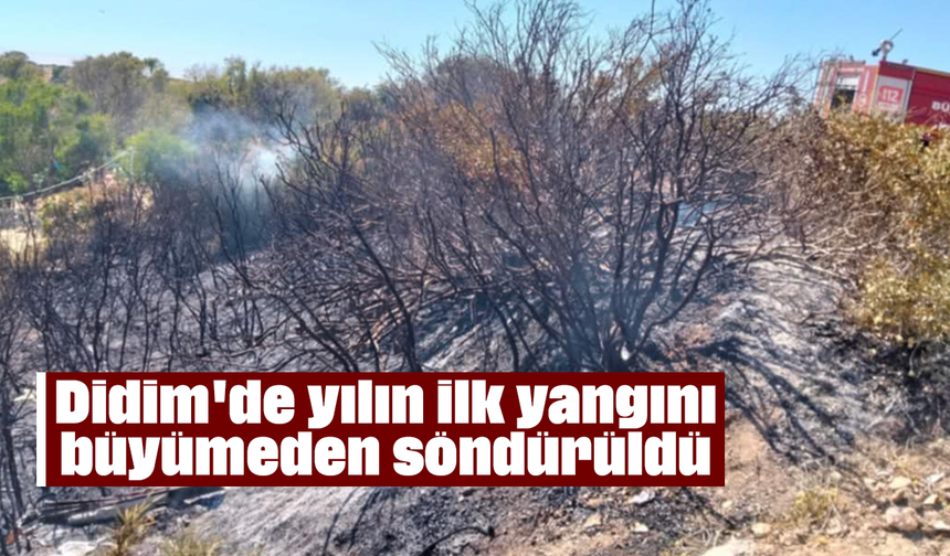 Didim'de yılın ilk yangını büyümeden söndürüldü