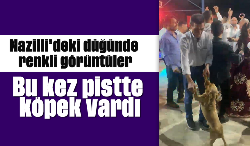Nazilli’deki düğünde renkli görüntüler: Bu kez pistte köpek vardı