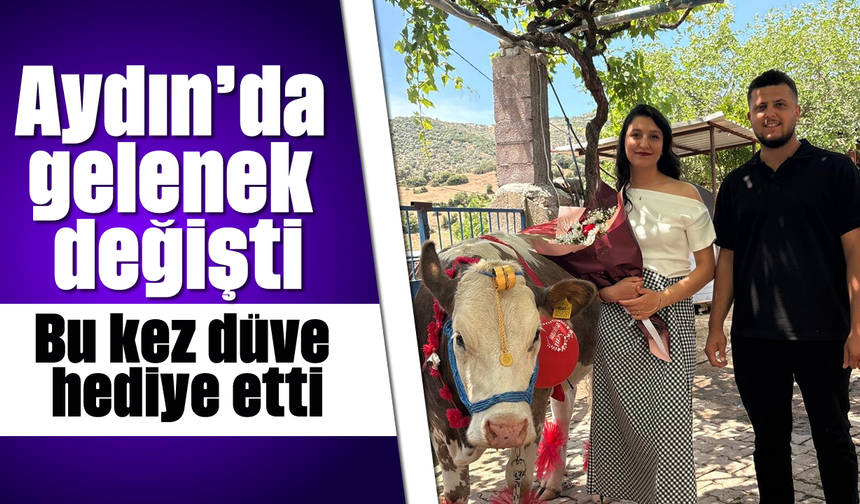 Aydın’da gelenek değişti: Bu kez düve hediye etti