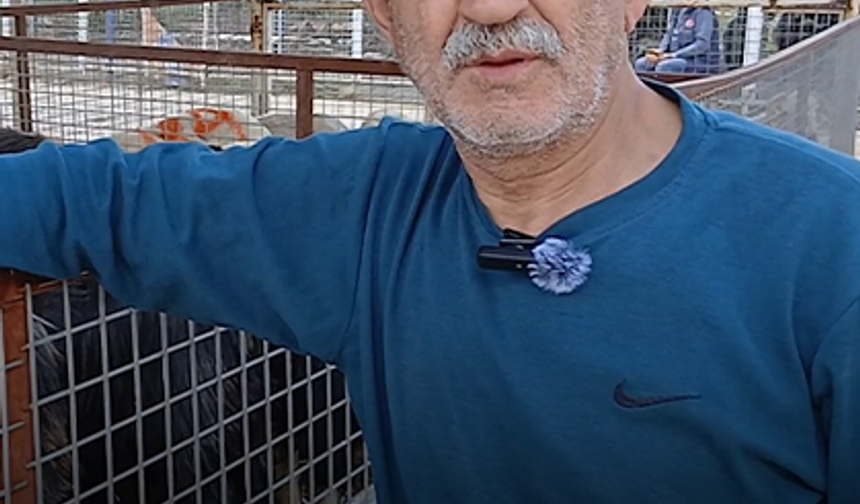 "Emekli maaşıyla geçinmek de kurbanlık almak da mümkün değil"