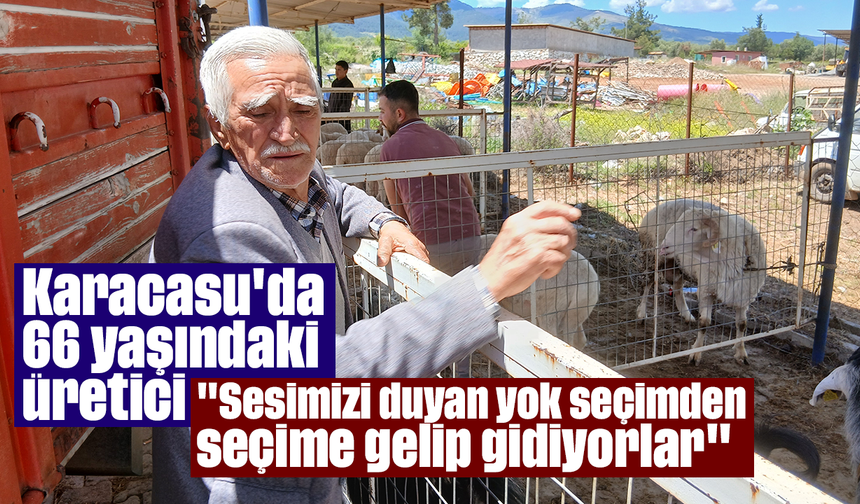 Karacasu'da 66 yaşındaki üretici: "Sesimizi duyan yok, seçimden seçime gelip gidiyorlar"