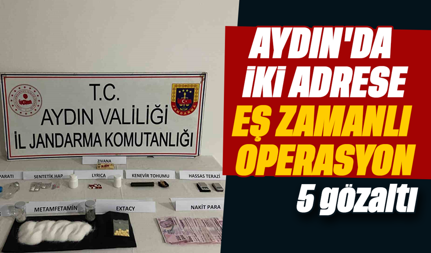 Aydın'da iki adrese eş zamanlı operasyon; 5 gözaltı