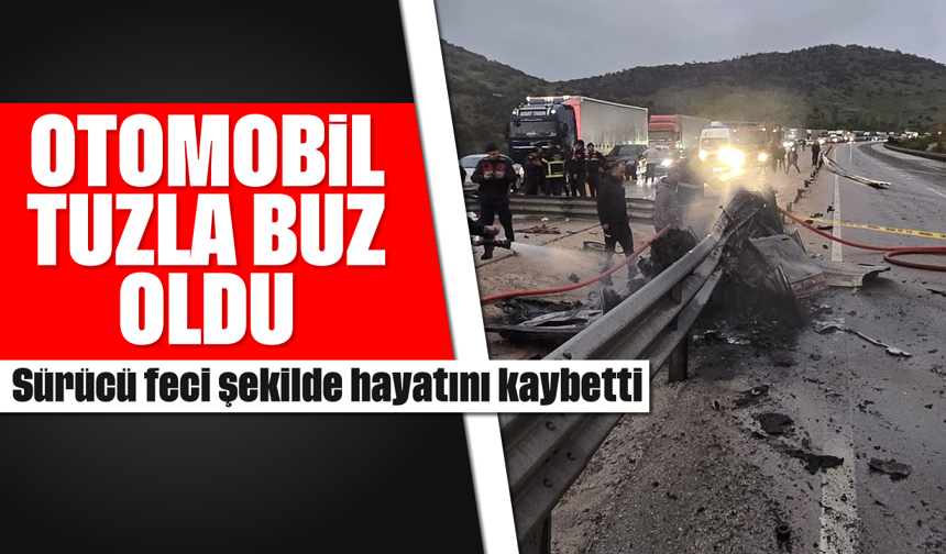 Otomobil tuzla buz oldu: Sürücü feci şekilde hayatını kaybetti