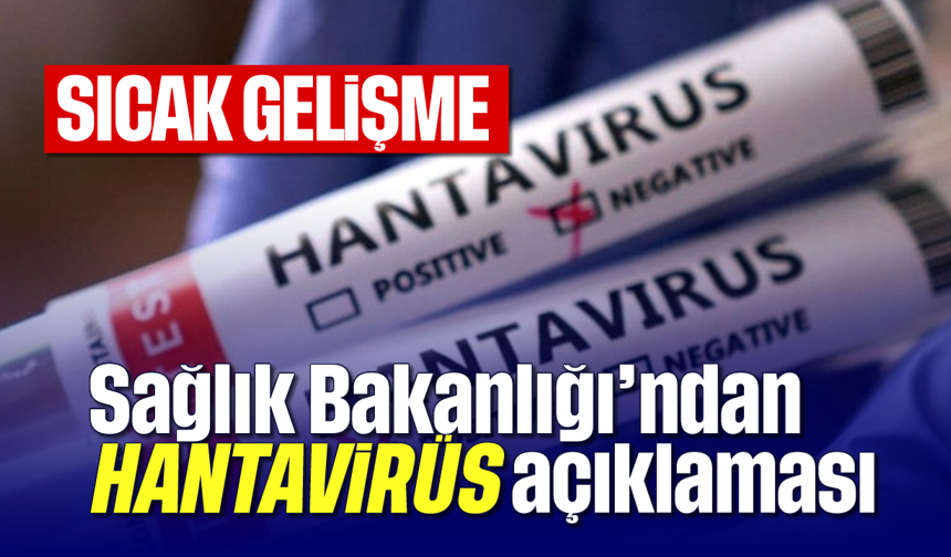Sıcak gelişme: Sağlık Bakanlığı'ndan hantavirüs açıklaması