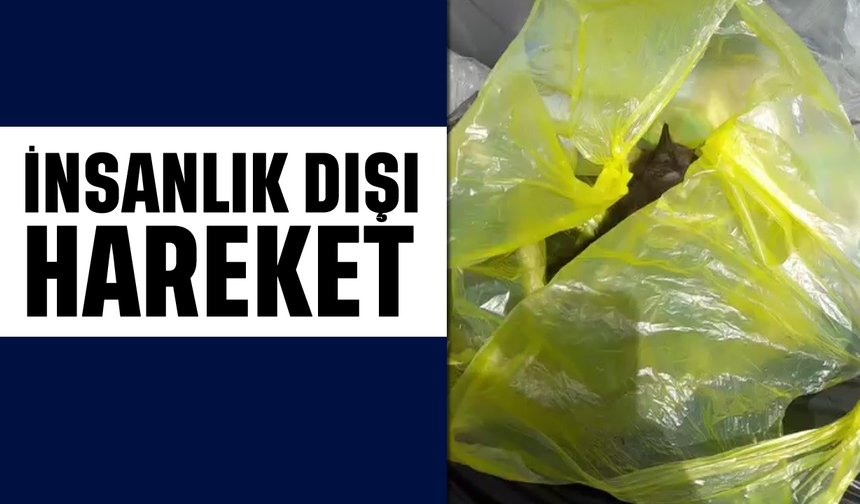 Bunu yapan insan olamaz: Vatandaşın sayesinde kurtuldular