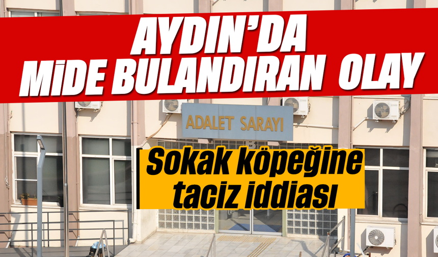 Aydın’da mide bulandıran olay: Sokak köpeğine taciz iddiası