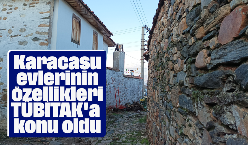 Karacasu evlerinin özellikleri TÜBİTAK'a konu oldu