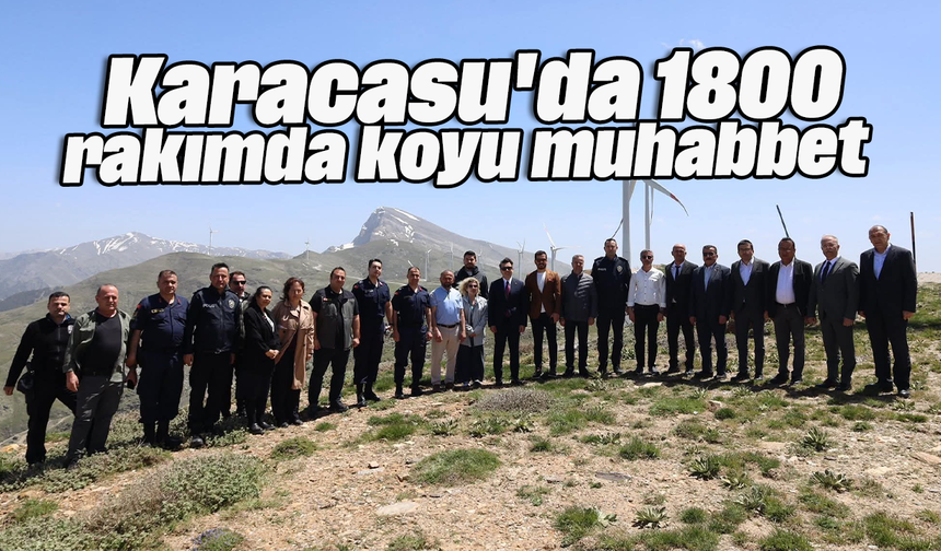 Karacasu'da 1800 rakımda koyu muhabbet