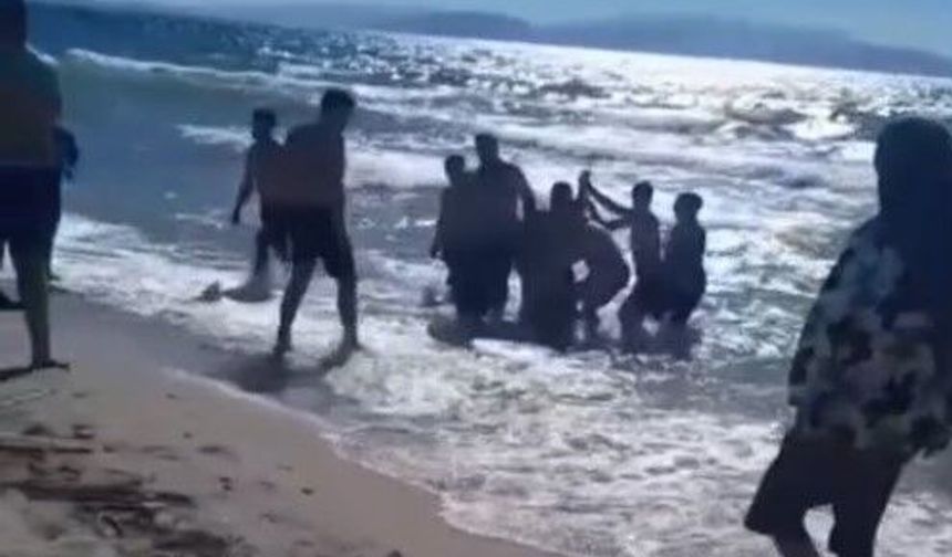 Aydın'ın kıyısında panik: 10 dakika içinde iki ayrı vaka