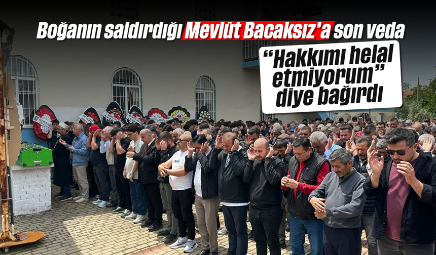 Boğanın saldırdığı Mevlüt Bacaksız’a son veda: “Hakkımı helal etmiyorum” diye bağırdı