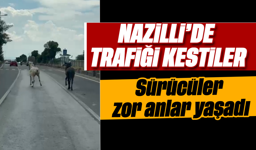 Nazilli’de trafiği kestiler: Sürücüler zor anlar yaşadı