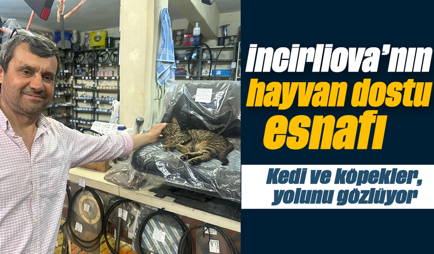 İncirliova’nın hayvan dostu esnafı :Kedi ve köpekler, yolunu gözlüyor