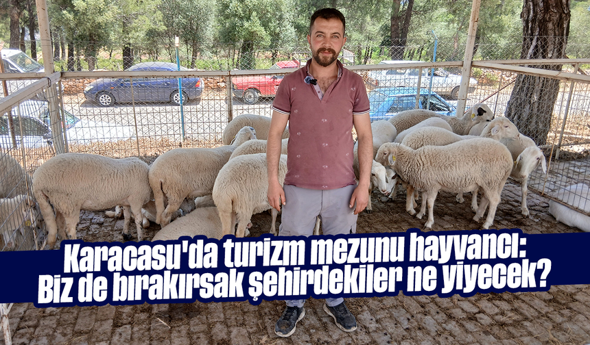 Karacasu'da turizm mezunu hayvancı: "Biz de bırakırsak şehirdekiler ne yiyecek?"