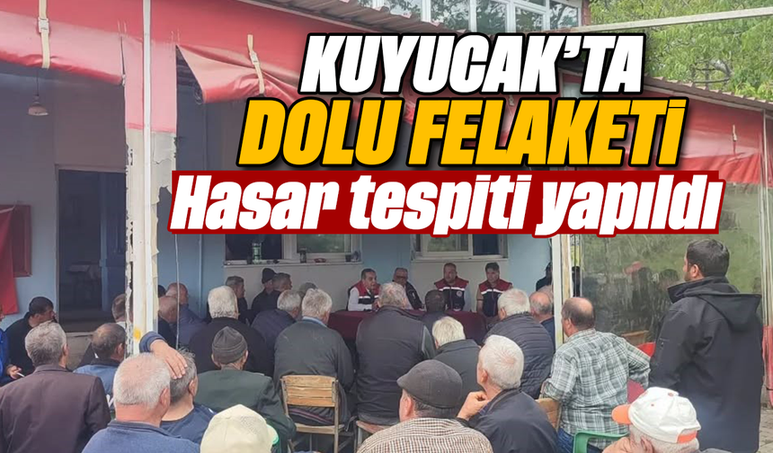Kuyucak’ta dolu felaketi: Hasar tespiti yapıldı