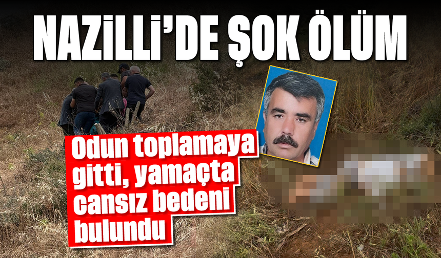 Nazilli’de şok ölüm: Odun toplamaya gitti, yamaçta cansız bedeni bulundu